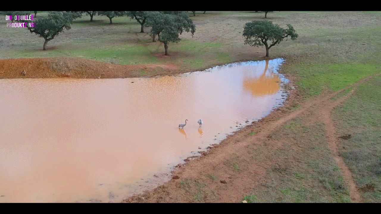 SIERRA DE SAN PEDRO. EXTREMADURA