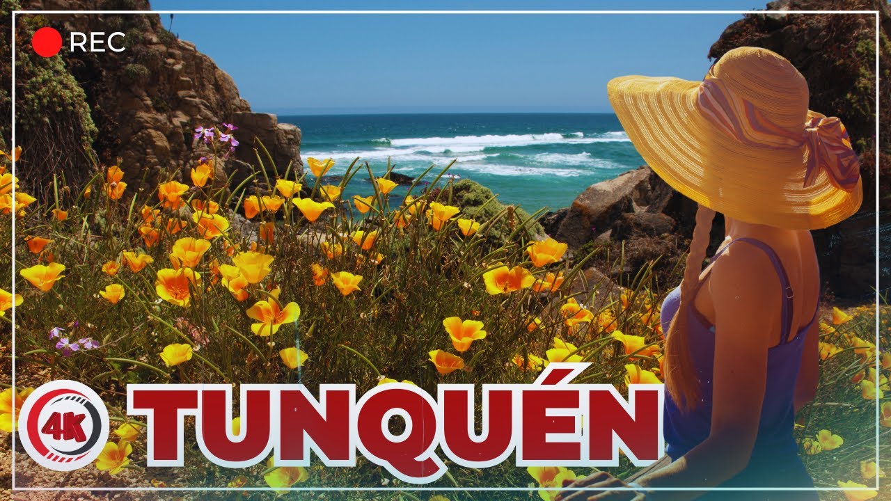 EXPLORANDO TUNQUEN : El hogar secreto de las aves