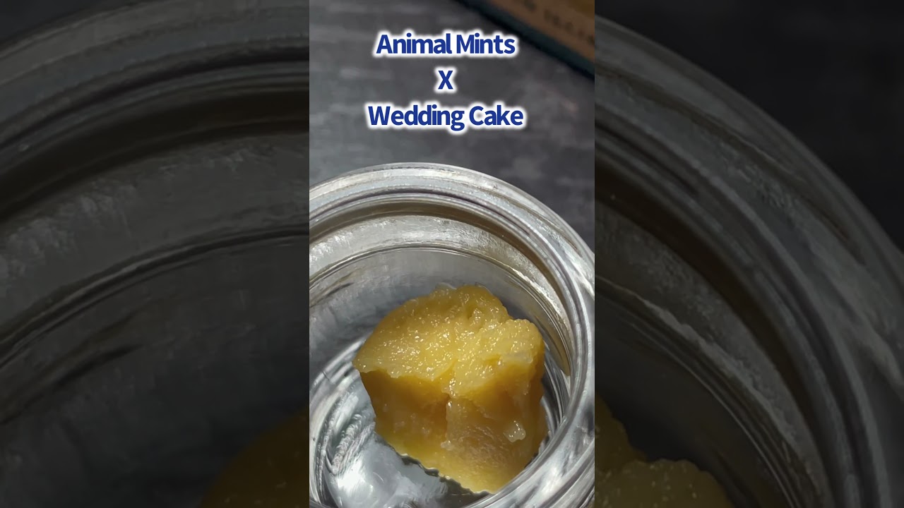 Mint Cake Budder Wax by High Supply