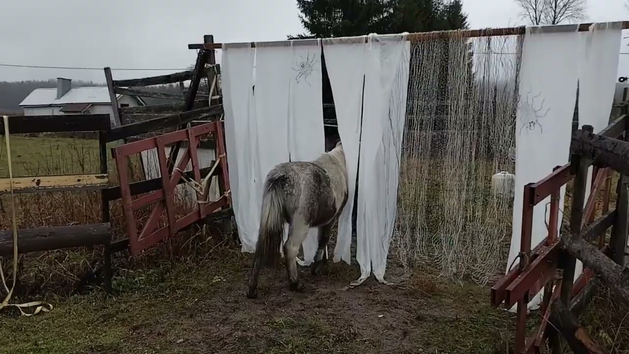 koottiponi ja kummitukset vol 1