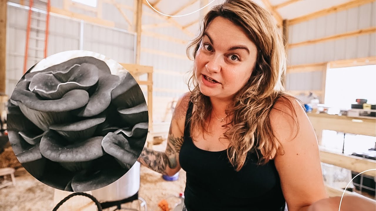 Learning about Mushrooms to Heal the Garden Soil | VLOG