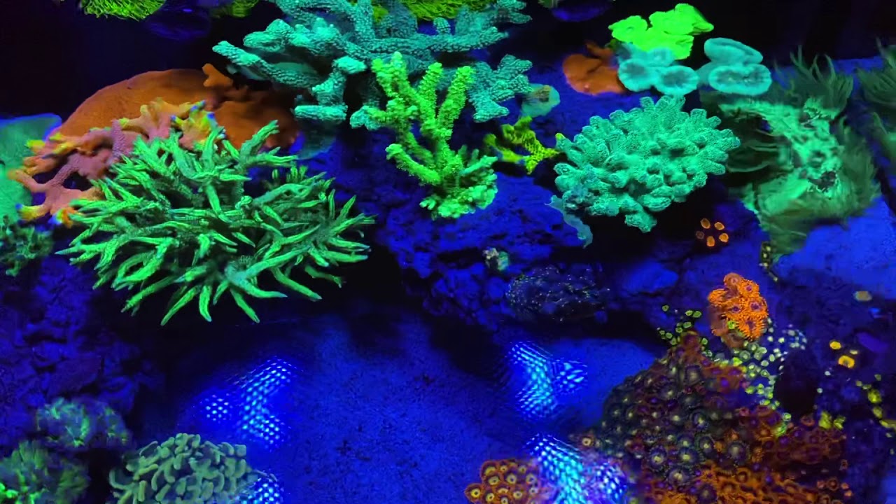 25 lagoon 11 Month Update
