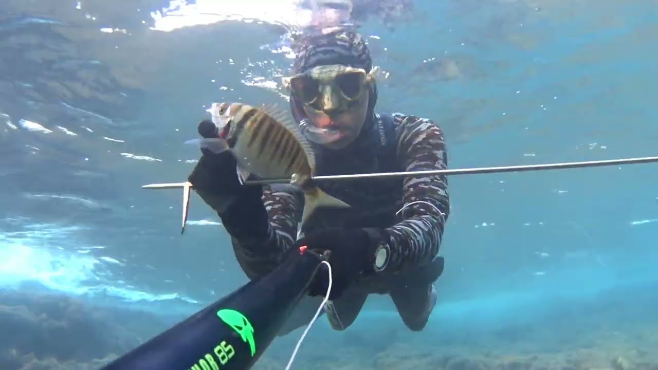 Pescasub: UNA PESCATA ROVINATA!!! #spearfishing