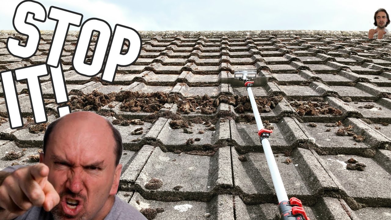 Giving Away Trade Secrets? Roof & Exterior Cleaning
