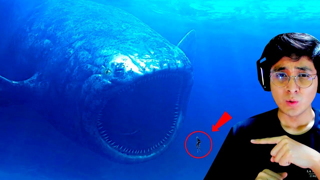 INCREIBLES IMAGENES DE THE BLOOP CAPTADOS EN CAMARA | JehxTp
