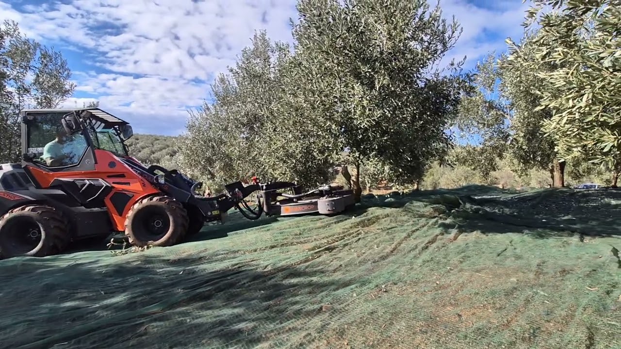 Maxcrop Cast VR551,  συγκομιδή ελιάς καλαμών