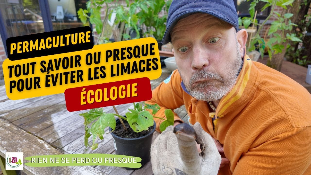 Comment gérer les Limaces