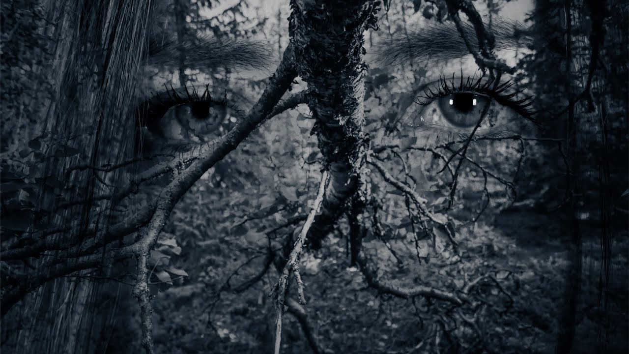 FangorN - Forests (Official Video)