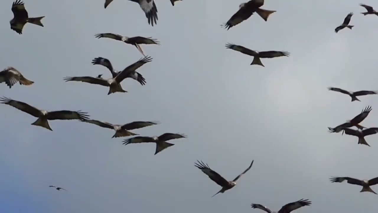 New Vlog Video Klang Sentral || 7 February 2022 || @Sangshu Chei