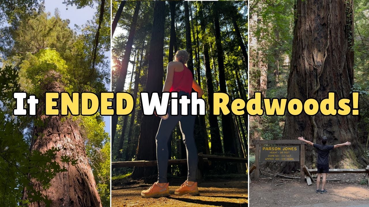 Exploring Redwoods in Guerneville, CA