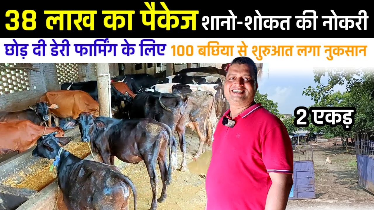 मिलिए पूर्णिया जिले के किसान से 38 लाख का पैकेज छोड़ दी Dairy Farming के लिए