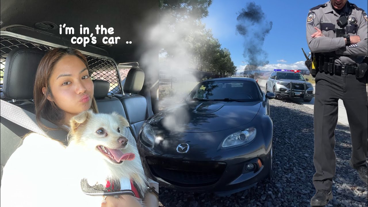 living alone in USA🇺🇸 WHY I ENDED UP IN THE COP'S CAR .. 😨🚔