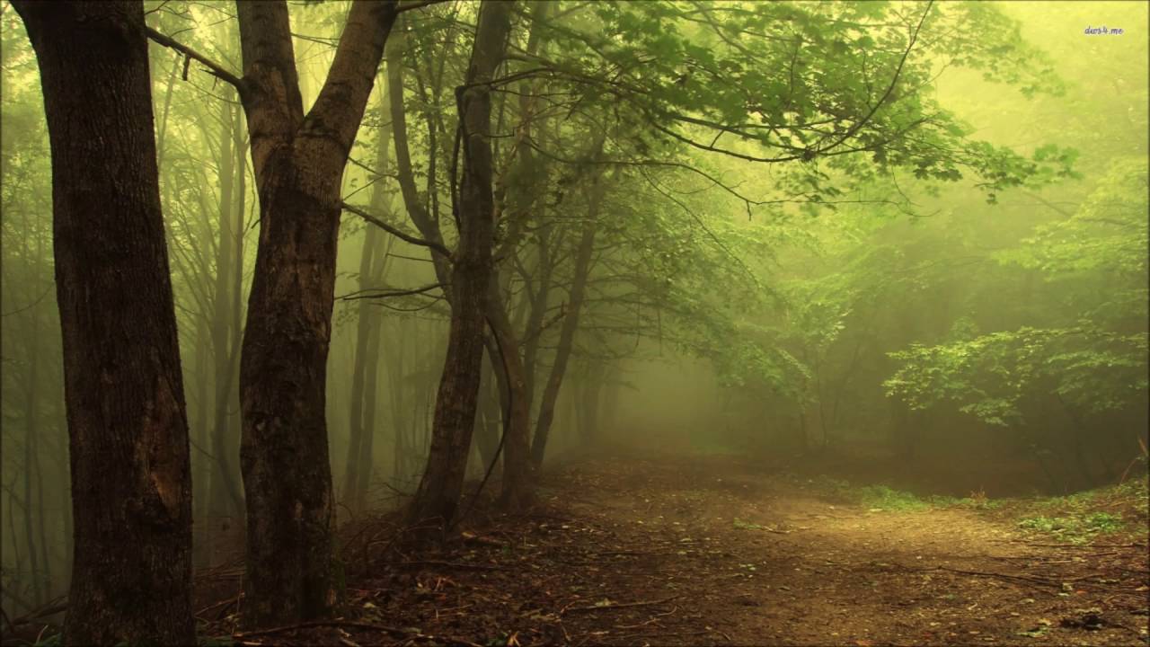 Baje Koruna Sure