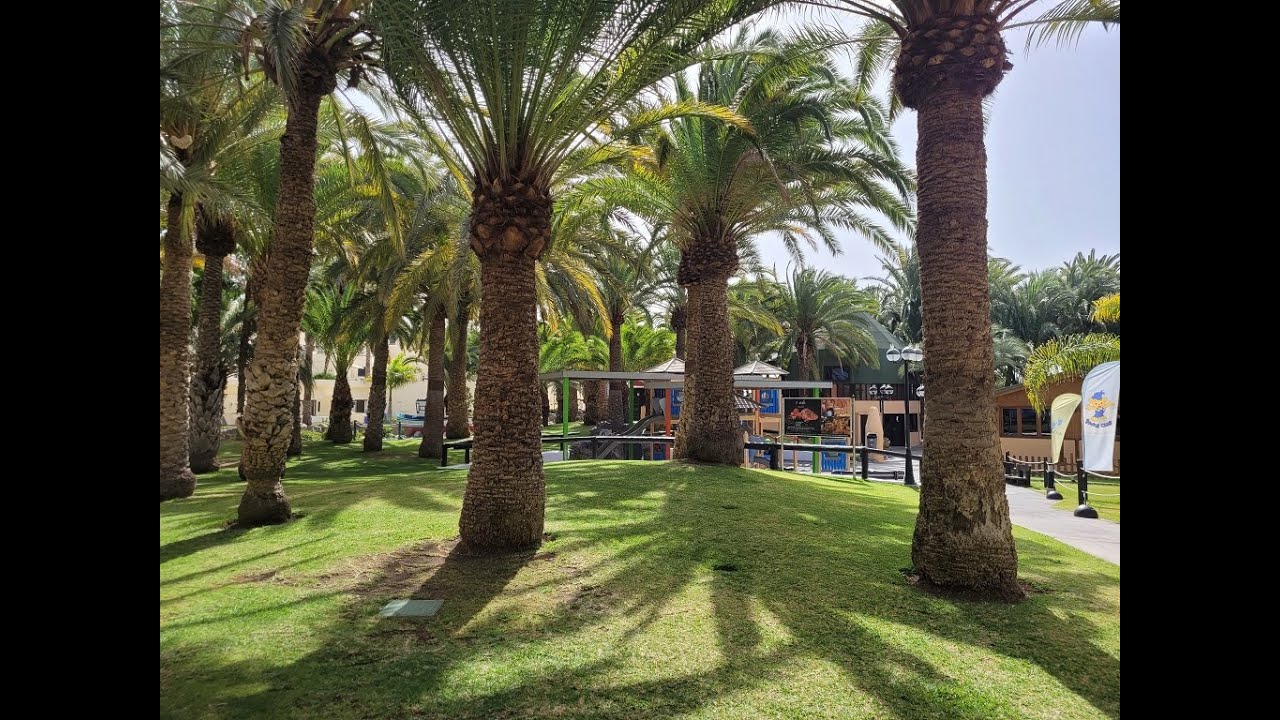 TUI BLUE TRES VIDAS GRAN CANARIA