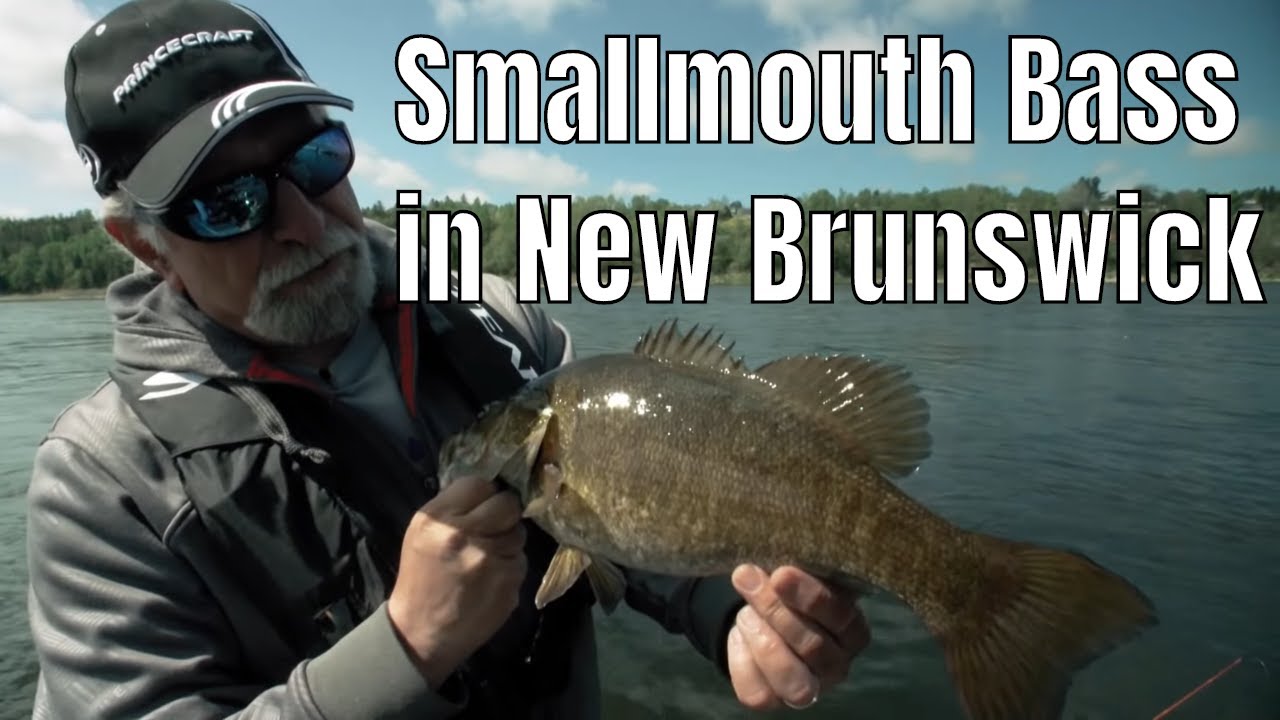 Smallmouth Bass In New Brunswick | Fish'n Canada