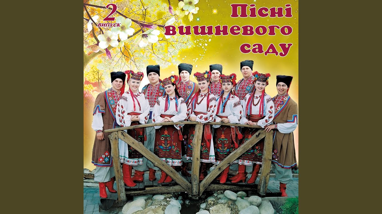 Якби я мала крила орлині