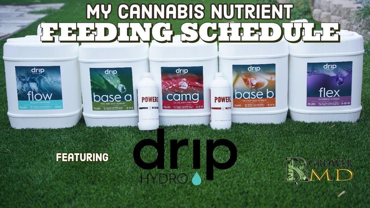 My Cannabis Nutrient Feeding Schedule w/FREE CALCULATOR || Drip Hydro
