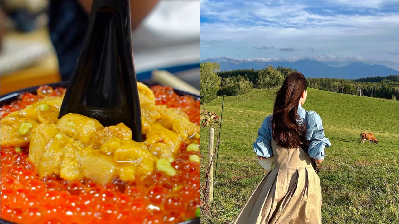홋카이도 브이로그ㅣ일본인 시부모님 모시고 가을 홋카이도 여행ㅣ우니동 끝판왕ㅣ홋카이도 목장ㅣ삿포로ㅣ비에이ㅣ오타루ㅣ홋카이도 관광 맛집 소개ㅣ한일부부ㅣ한일커플