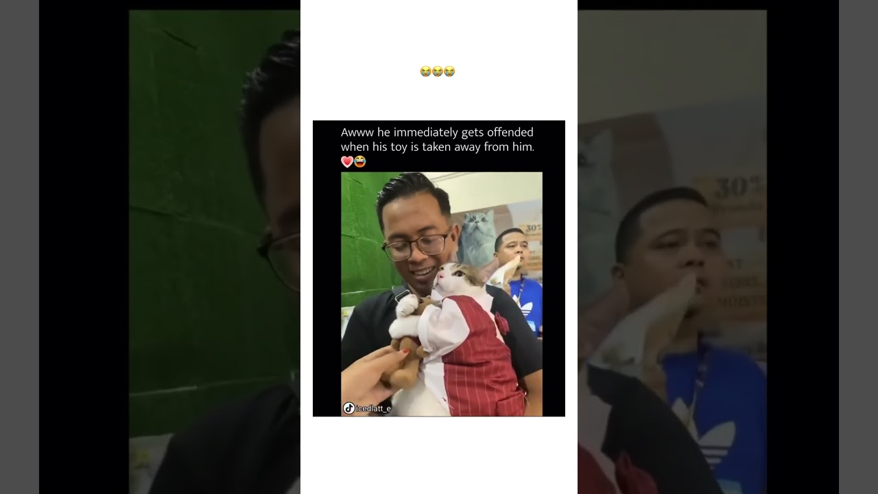 It&rsquo;s a Monday and prvnci just holding his toy as a kittyo