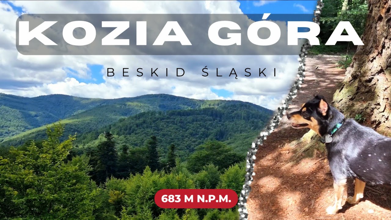 Z psem na Kozią Górę 🏔️🐾 | Beskid Śląski – leśne szlaki i piękne widoki! Dzień 4/5