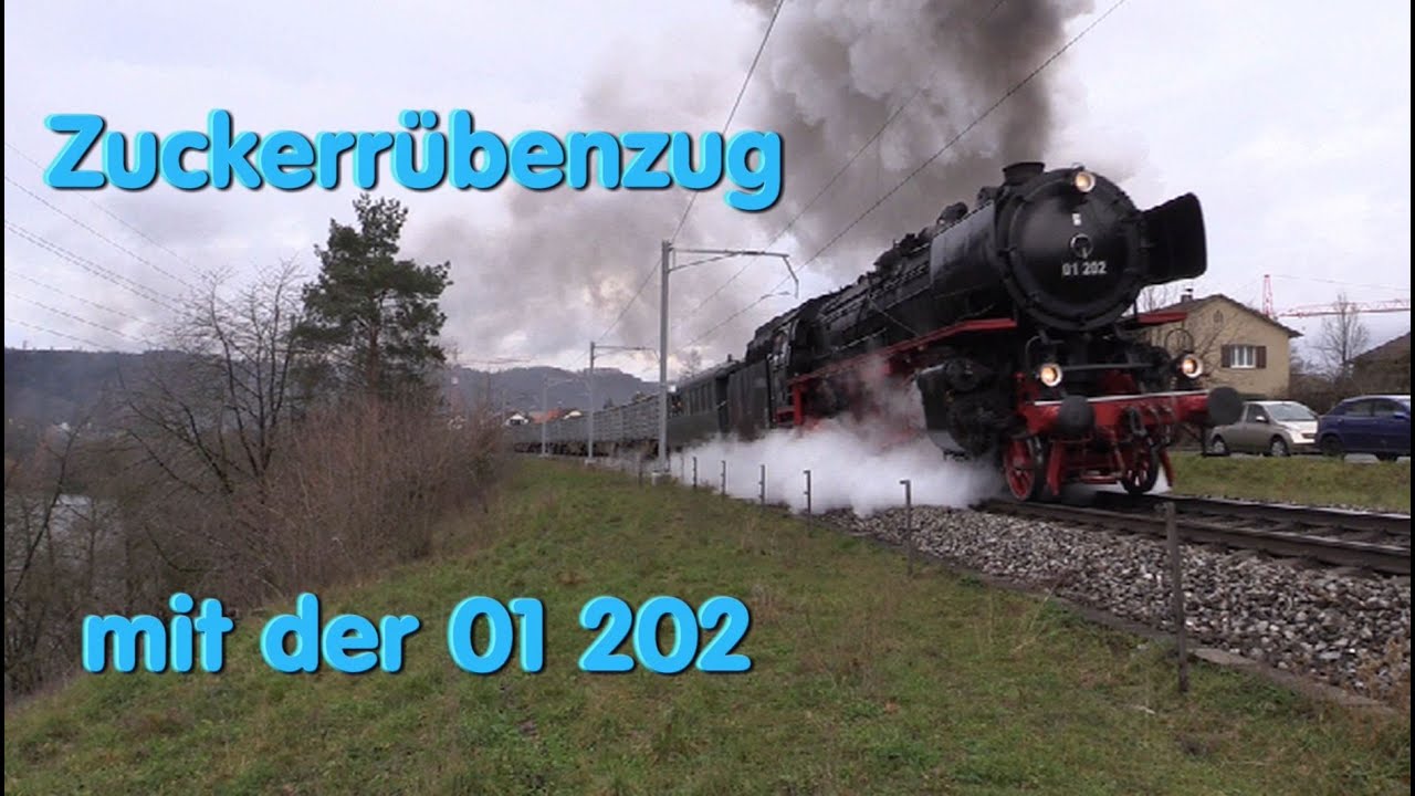 Zuckerrübenzug mit der 01 202