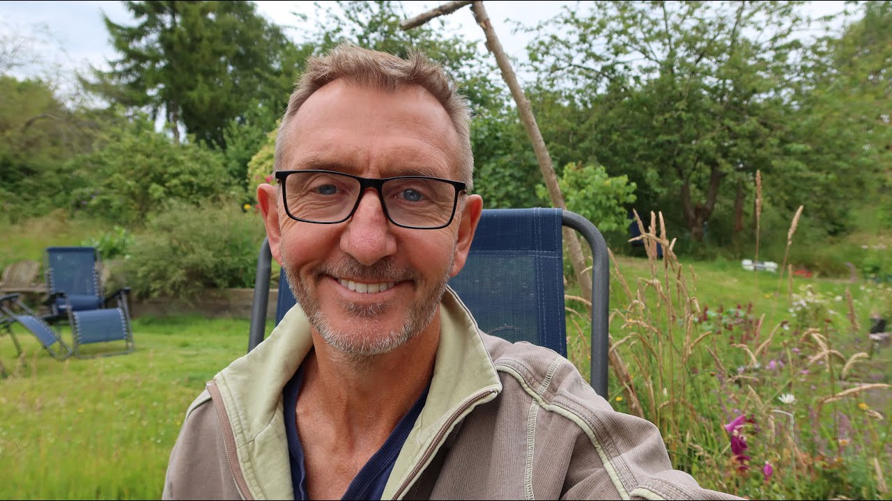 Where have all the insects gone?
