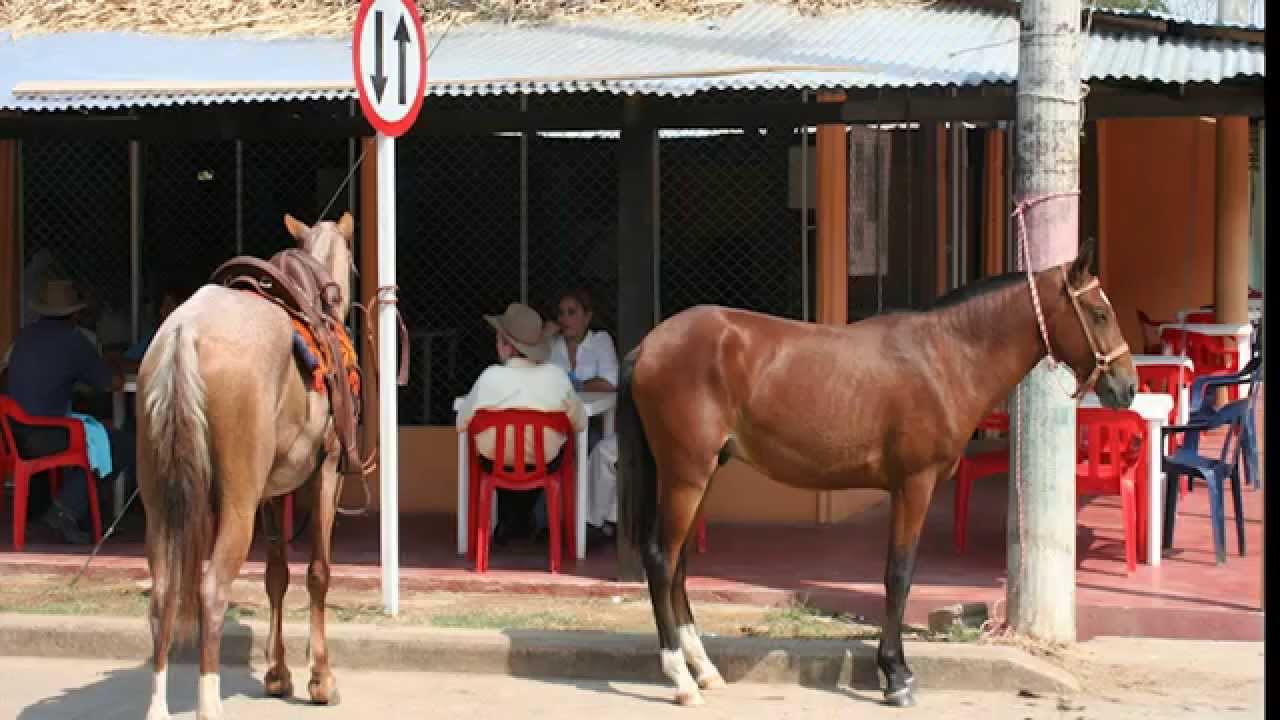 CRAVO NORTE PUEBLO CRIOLLO