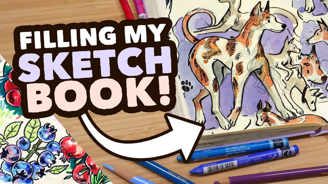 Filling Lots of Sketchbook Pages! // Summer fruit & Dogs