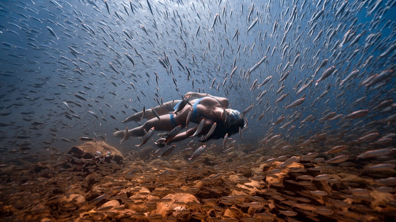 Sayuri and all the fish