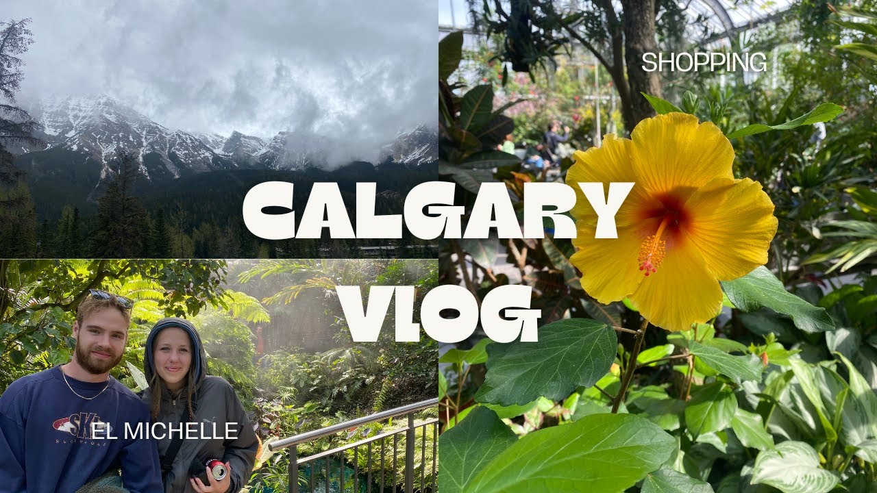 Calgary VLOG! || Shopping, hair dye, road trips!