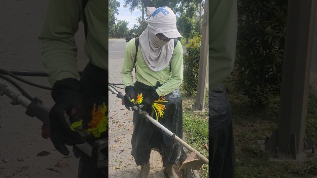 CARA MENGGUNAKAN MESIN POTONG RUMPUT SENAR #shorts #mesinrumput #senarmesinrumput