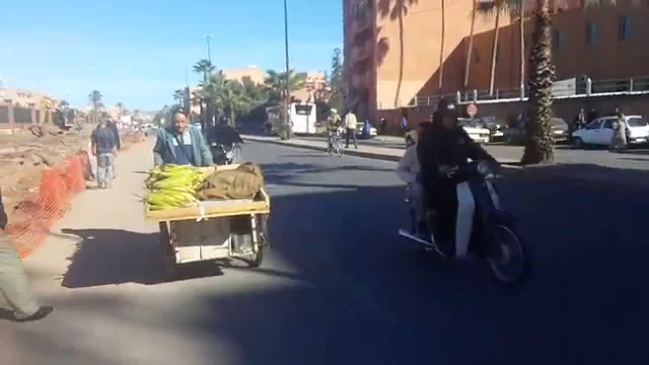 Dall'Abruzzo al Marocco, in viaggio coi braccianti che tornano in patria