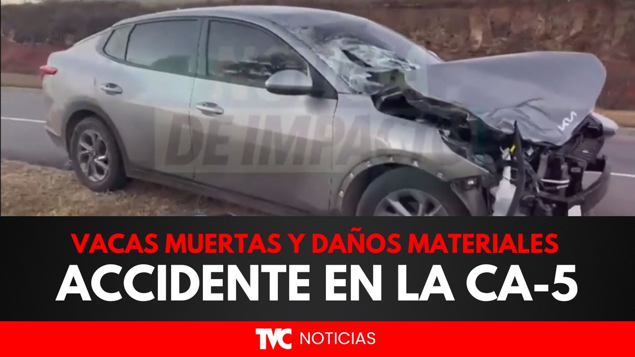 ¡IMPACTANTE! Fuerte choque en la CA-5 deja dos vacas muertas y cuantiosos daños materiales