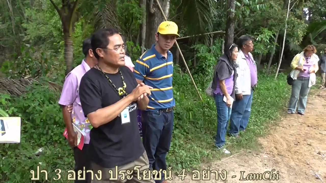 [ฮักเกษตร]-ป่า 3 อย่าง ประโยชน์ 4 อย่าง 5 ไร่ 1 ล้านบาท