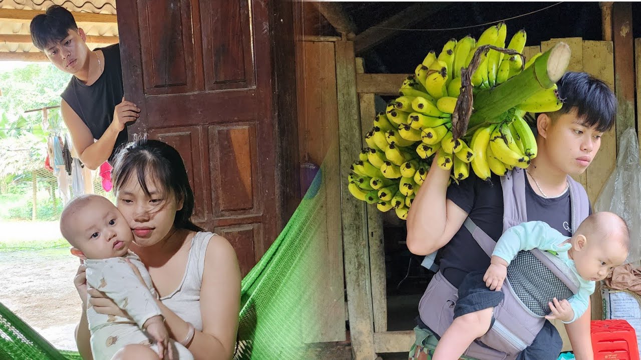 Life of a Single Father: Collecting Fruitsto Sell When His Ex-Wife Returns to SeeTheir Child