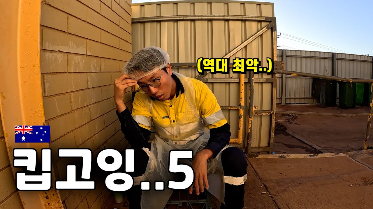 악명 높은 파이포 유틸 키친 핸드 후기 - 호주 워홀 🇦🇺[66]