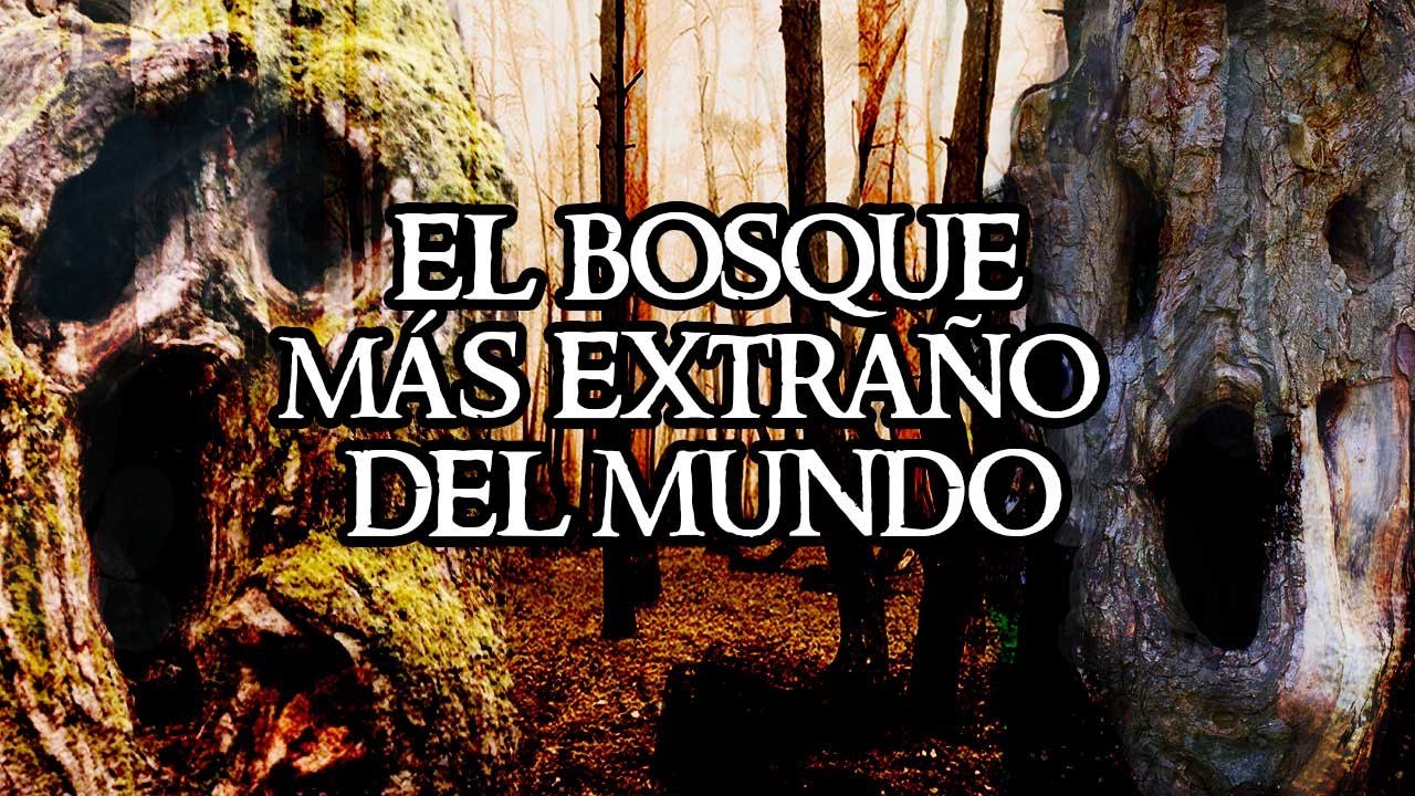EL MISTERIO DEL 