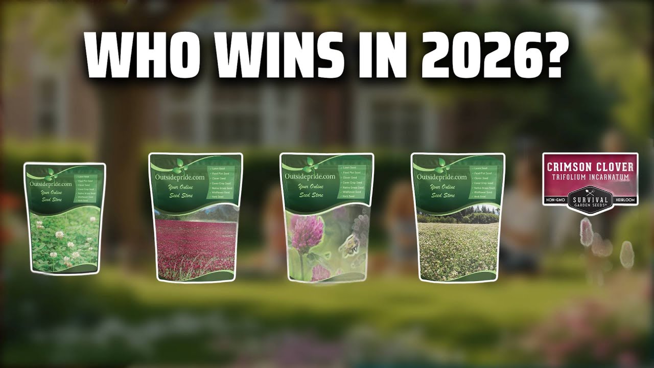 The Top 5 Best Durana Clover Seed in 2026 - Must Watch Before Buying!