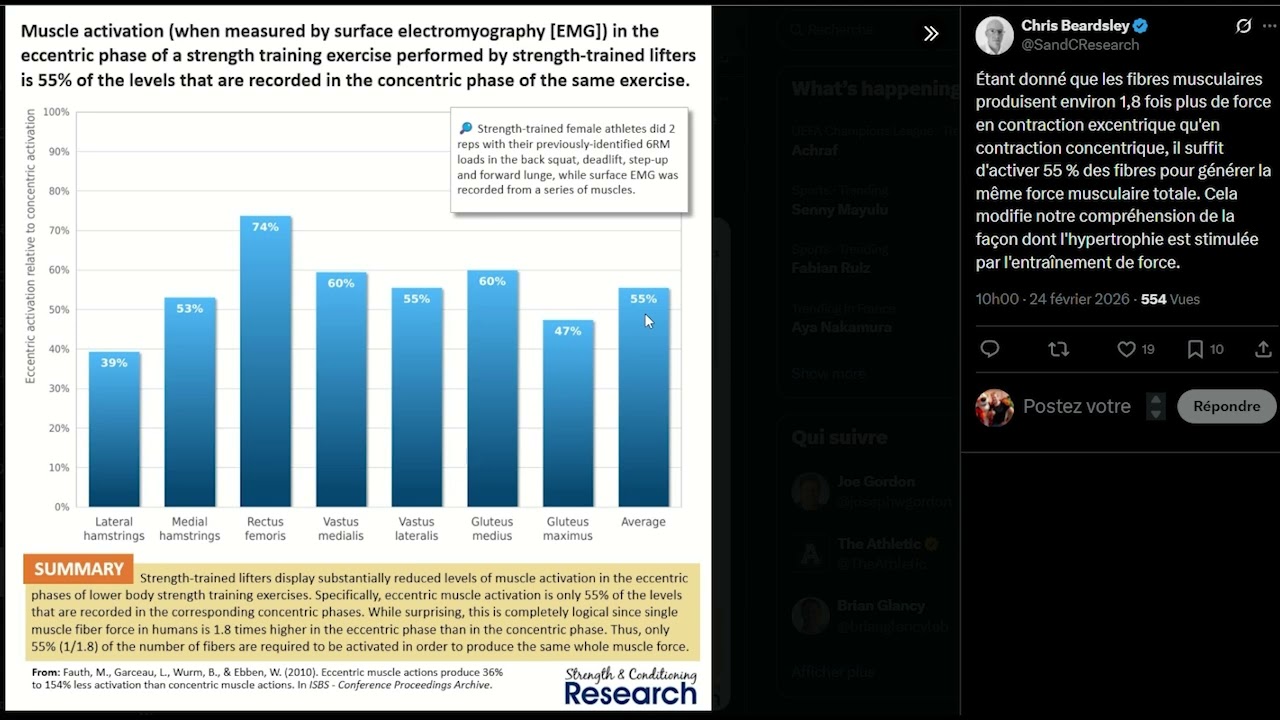 Pourquoi la muscu n'induit-t-elle qu'une hypertrophie si éloignée du potentiel de croissance optimal