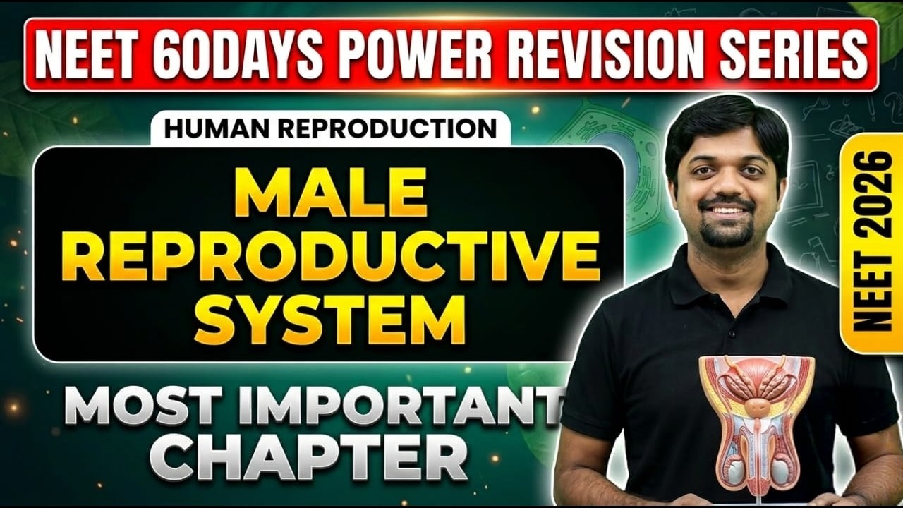 Day 20 NEET 60 Days | Human Reproduction | Male Reproductive System