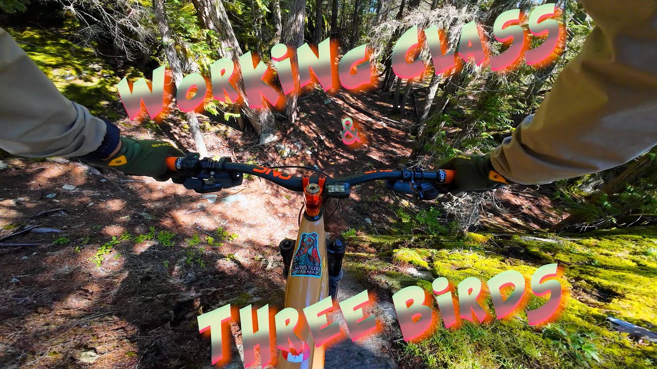 A Swiss biker in BC EP 24 - Whistler BABY - Working Class & 3 Birds