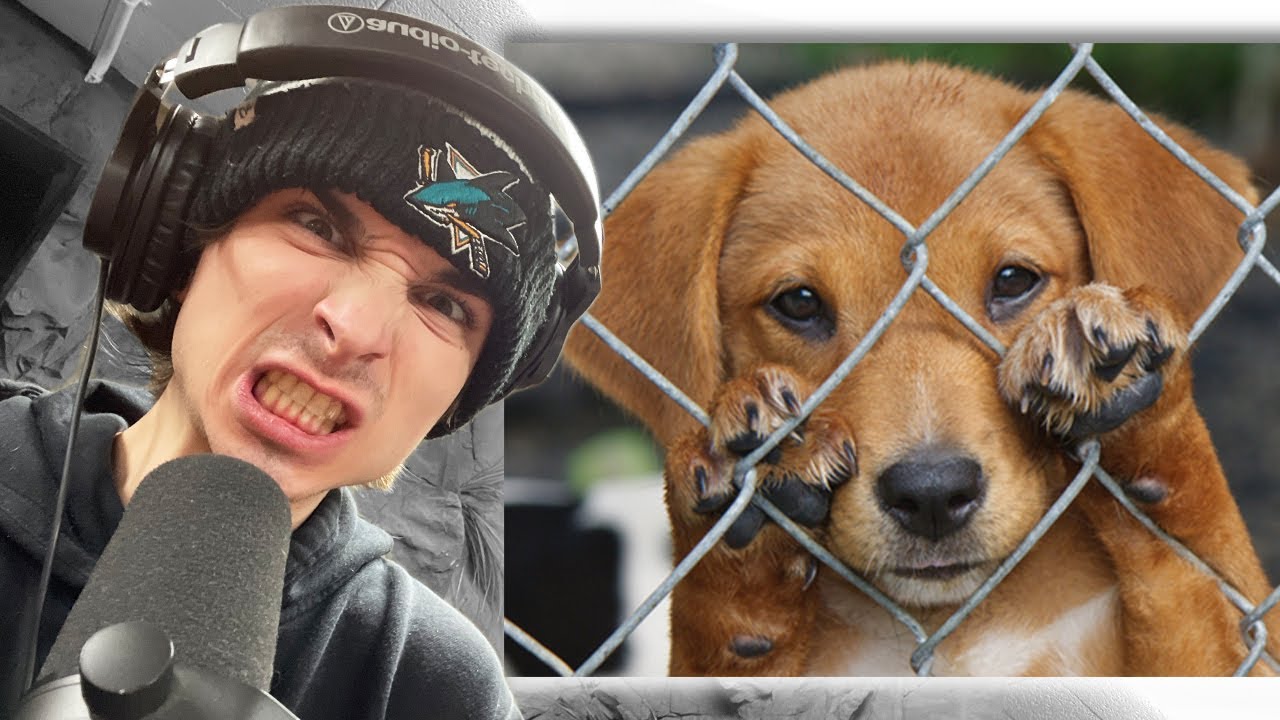 Dog Cages are Prison Cells - Choices Podcast #40