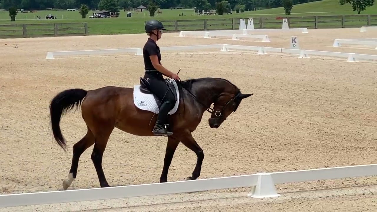 Zenith Vayda | Novice Test A | Chatt Hills | June 2022