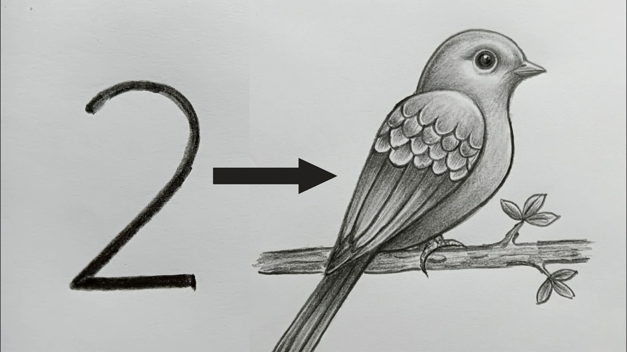 How to Draw a Bird from Number 2 | Easy Pencil Drawing Trick