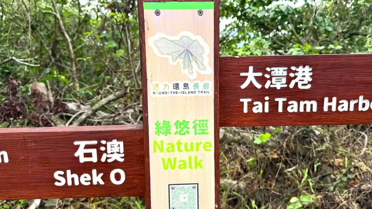 山中人：大潭無字雙碑(石碑山/港島徑/野豬徑南坑/綠悠徑/大潭篤水塘大壩底/大潭港/大潭道)2026-03-07