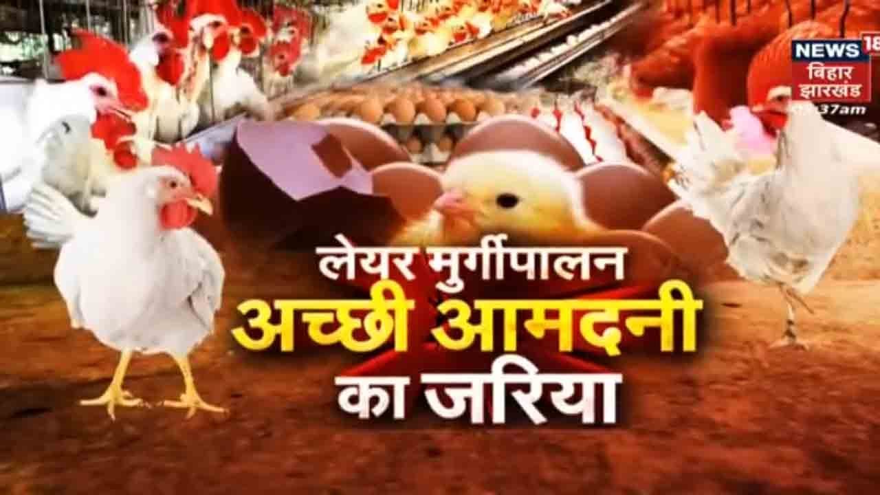 Layer Poultry Farming | अंडे देने वाली मुर्गियों के उन्नत नस्लों के बारे में जानिए | Annadata