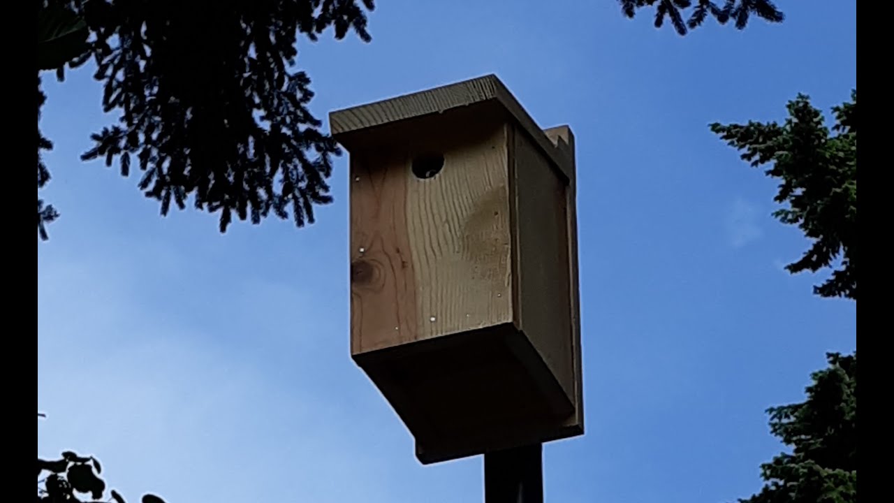 Chickadee nesting box- Full instructions