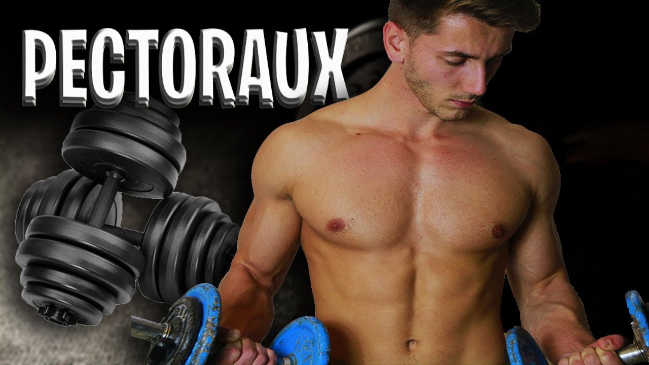 SE MASSACRER les PECTORAUX avec 2 HALTERES