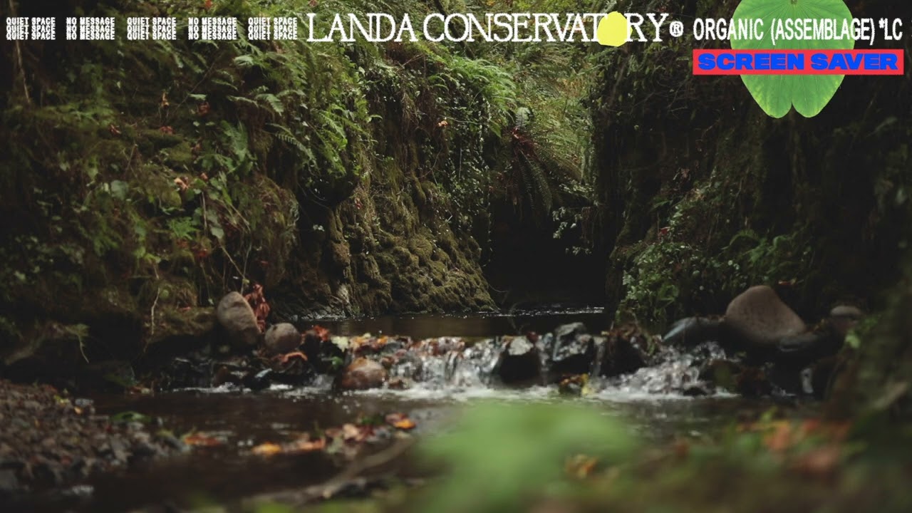 45 Minute Resting Place Beside the Soft Fern Stream | Landa Conservatory (Resting Place)