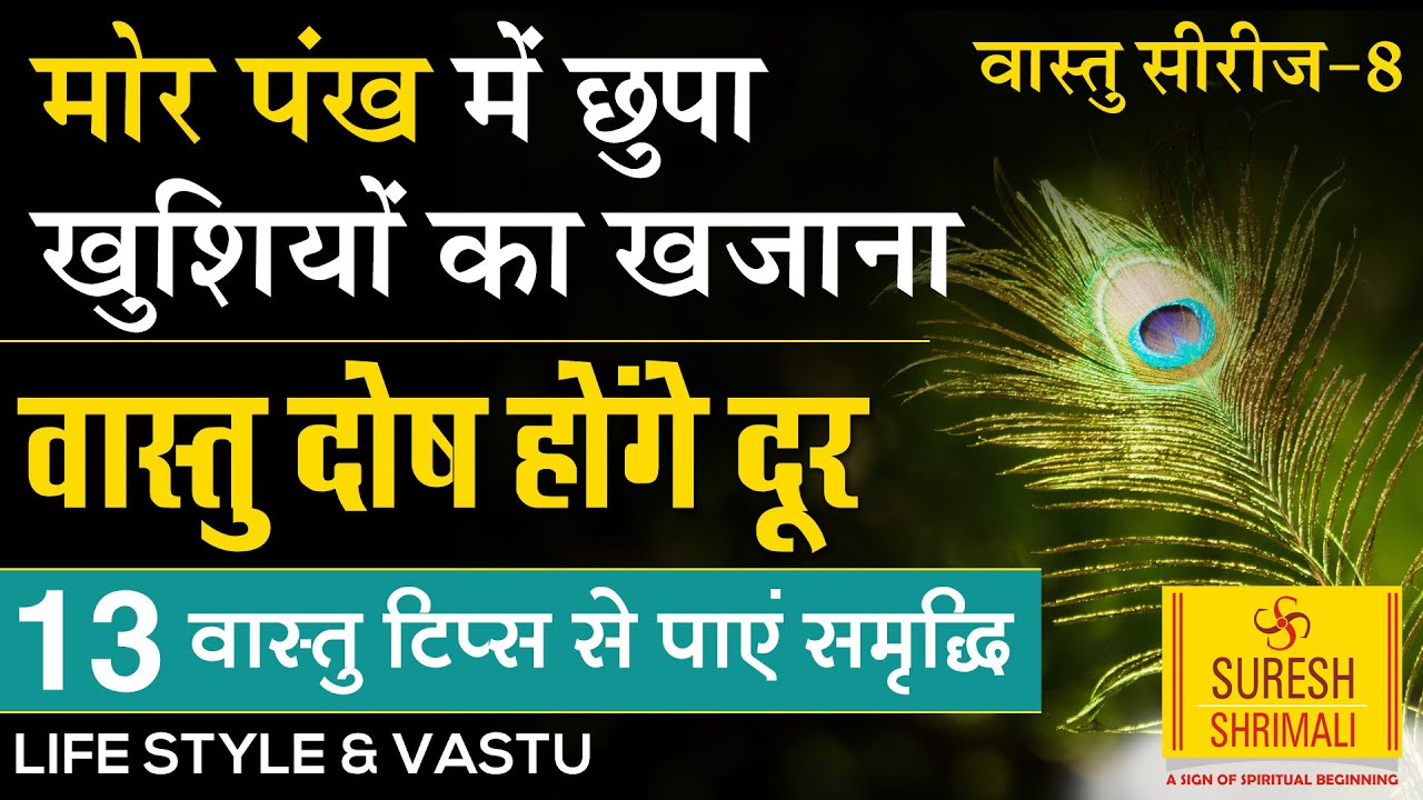 LIFE STYLE Vastu मोर पंख से खुशहाली | घर के वास्तुदोष को दूर करेंगे ये उपाय | Suresh Shrimali | EP-8